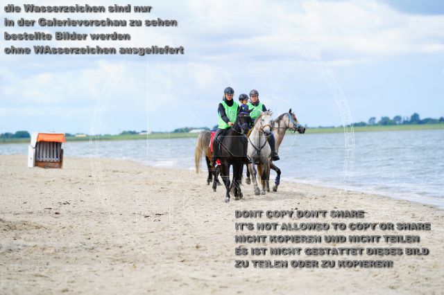 s_K3F05115.JPG